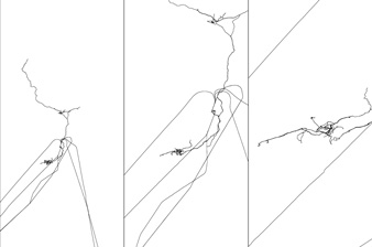 Detail of GPS track maps from Afar exhibition