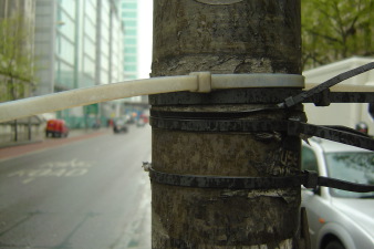 Poster affixed to a lamppost with zip-ties, with tear-off strips of information
